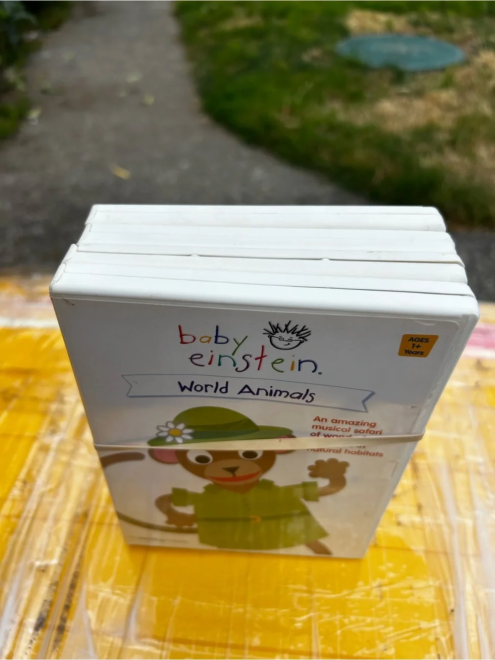 Baby Einstein World Animals DVD - White (4DVDS)